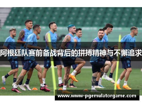 阿根廷队赛前备战背后的拼搏精神与不懈追求