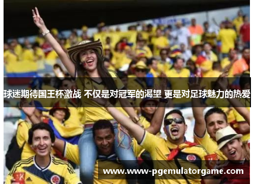 球迷期待国王杯激战 不仅是对冠军的渴望 更是对足球魅力的热爱