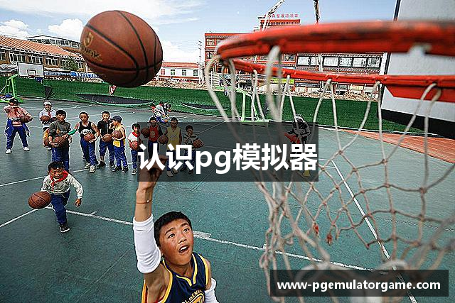 认识pg模拟器
